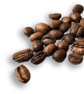 sementes de café