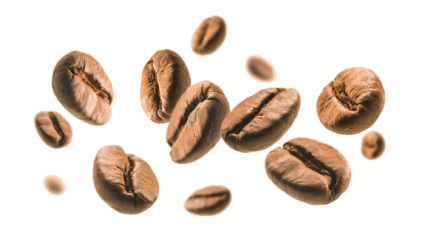 grão de café